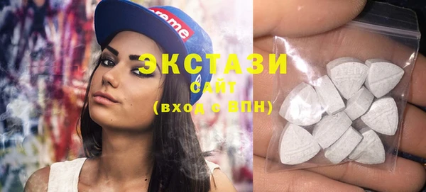 шишки Надым