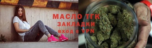 шишки Надым