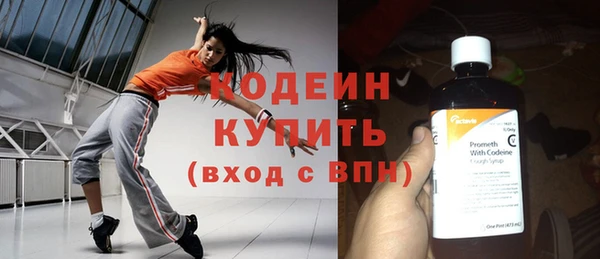 шишки Надым