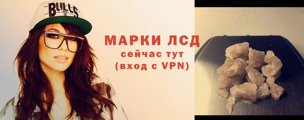 шишки Надым