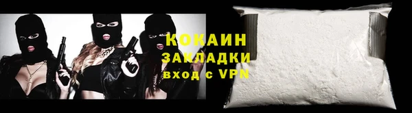 шишки Надым