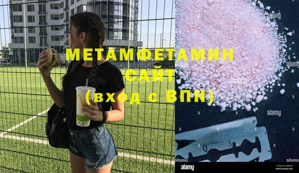 шишки Надым