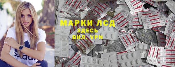 шишки Надым