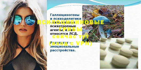 винт Заречный