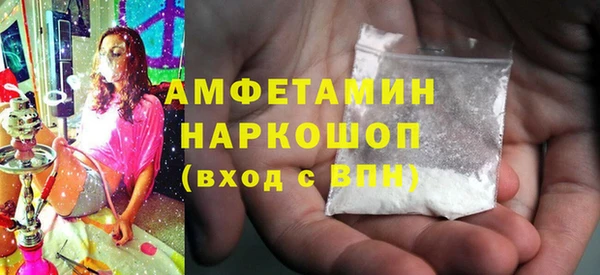 шишки Надым