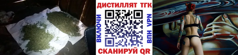 Купить где Кувандык ТГК концентрат